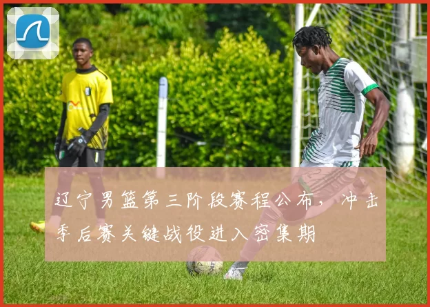 辽宁男篮第三阶段赛程公布，冲击季后赛关键战役进入密集期