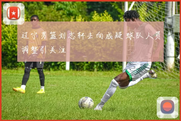 辽宁男篮刘志轩去向成疑 球队人员调整引关注