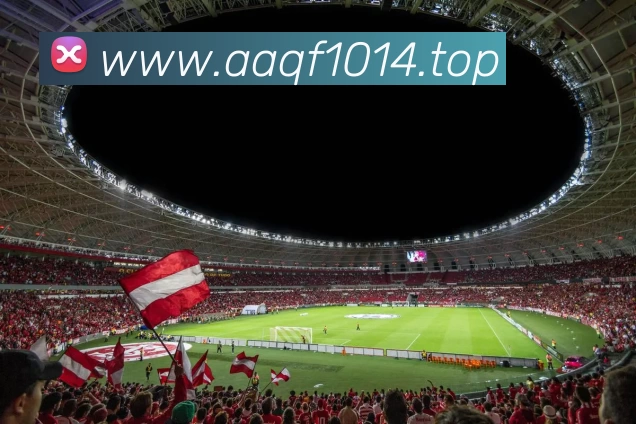 多媒体互动体验